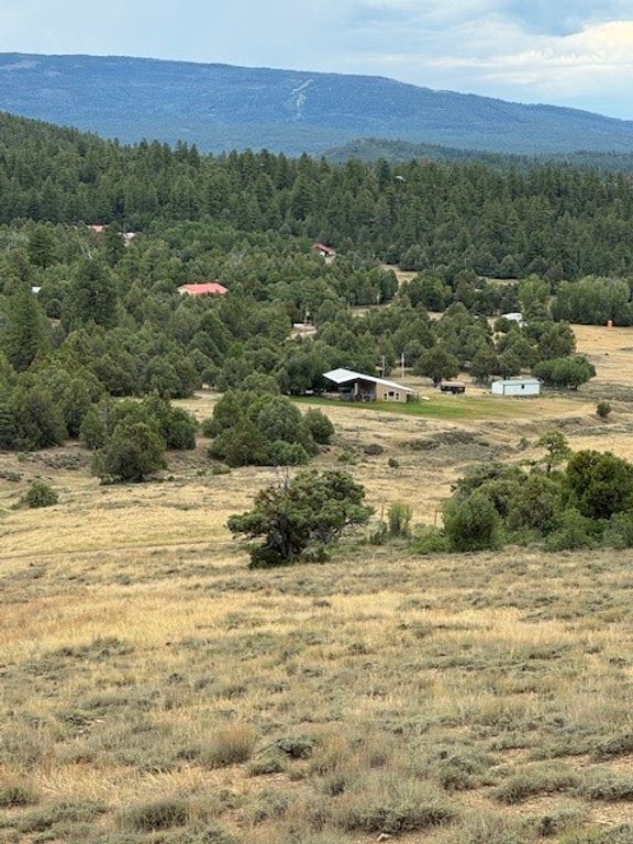 Unit 5 Tract 1 Private Drive 1783, Chama, NM 87520