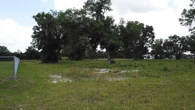 1020 DUCK BOX ROAD, Umatilla, FL 32784
