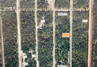 0B Selma Ave, Interlachen, FL 32148