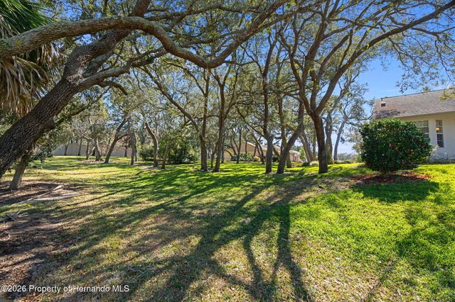 2143 Springmeadow Drive, Spring Hill, FL 34606