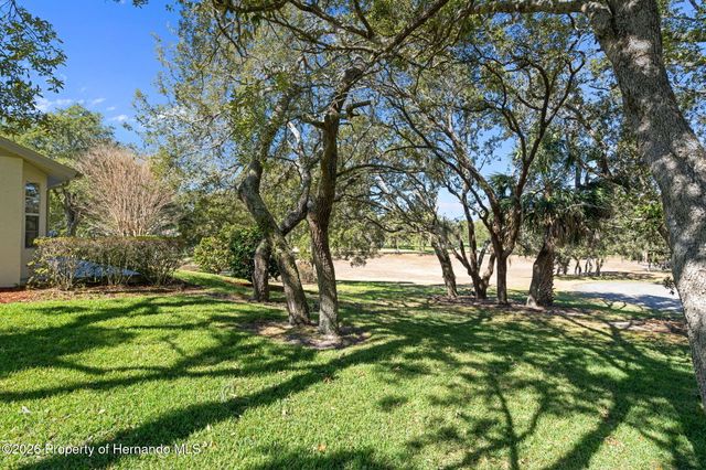 2143 Springmeadow Drive, Spring Hill, FL 34606