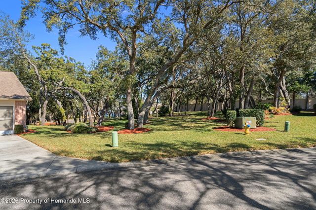 2143 Springmeadow Drive, Spring Hill, FL 34606