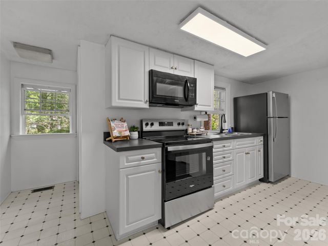 1110 3rd Avenue W multiple, Hendersonville, NC 28739