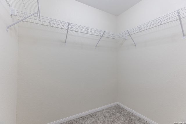 12315 Fish Hook, San Antonio, TX 78252