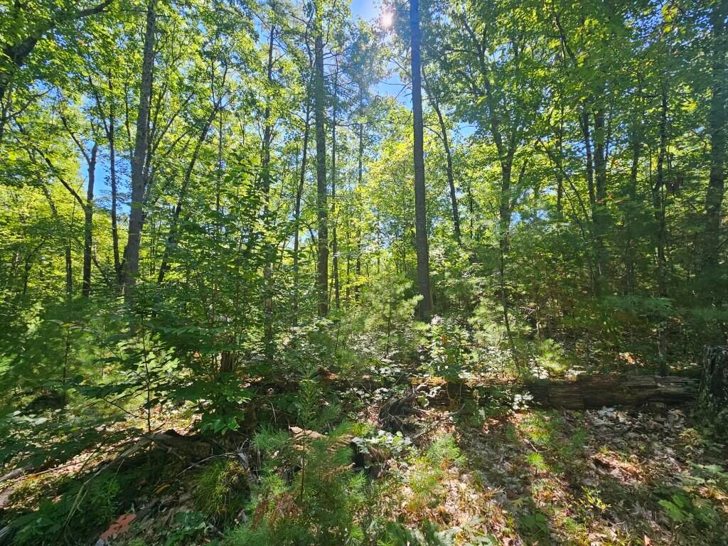 Lot 9F Pequawket Trail, Standish, ME 04084 — photo 5
