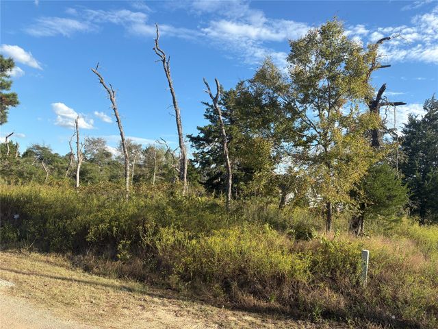 000 Park View Drive, Hempstead, TX 77445