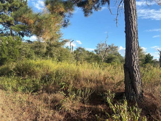 000 Park View Drive, Hempstead, TX 77445