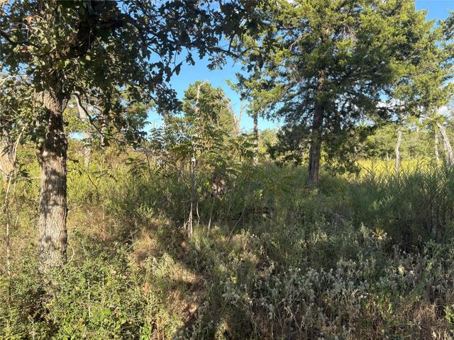 000 Park View Drive, Hempstead, TX 77445