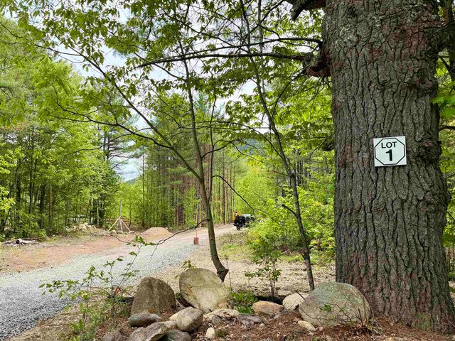 Lot 1 Whittier Road, Tamworth, NH 03886
