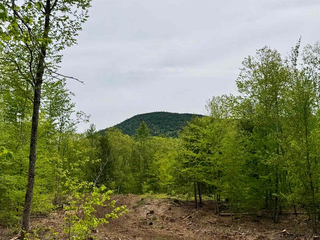 Lot 1 Whittier Road, Tamworth, NH 03886
