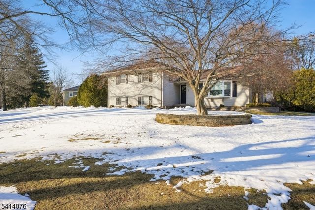 1 Briarcliff Rd, Morris Plains Boro, NJ 07950