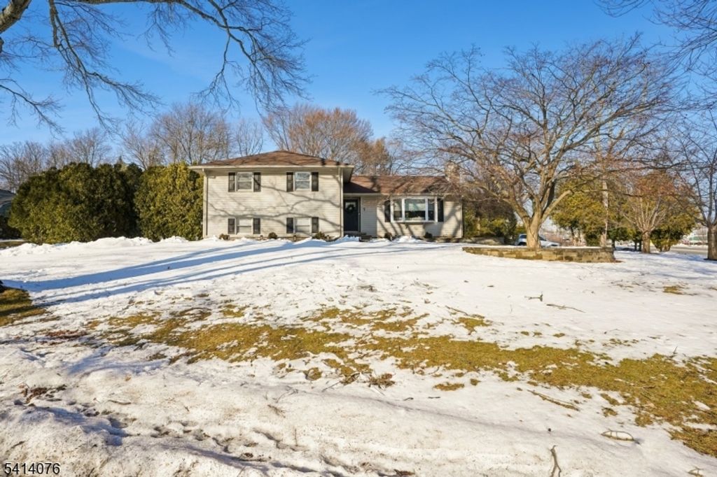 1 Briarcliff Rd, Morris Plains Boro, NJ 07950