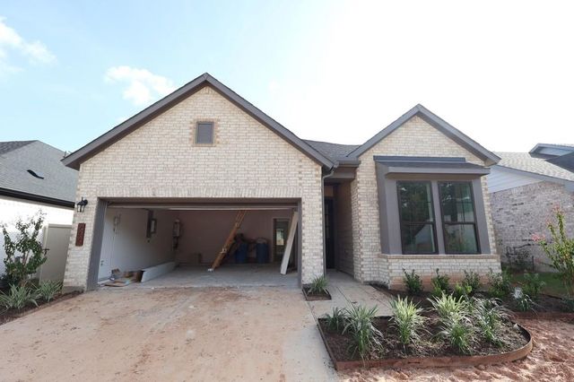 454 Audubons Shearwater Way, Magnolia, TX 77354