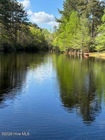 1801 Mcdonald Avenue, Hamlet, NC 28345