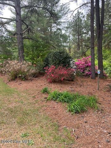 1801 Mcdonald Avenue, Hamlet, NC 28345