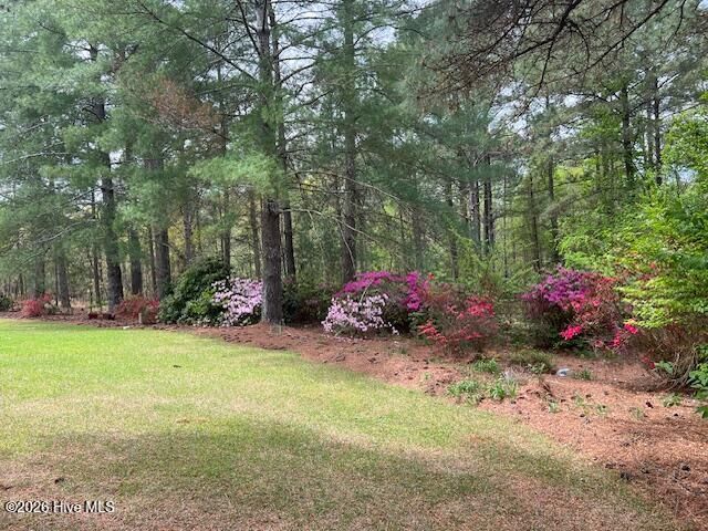1801 Mcdonald Avenue, Hamlet, NC 28345