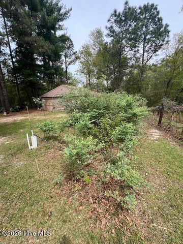 1801 Mcdonald Avenue, Hamlet, NC 28345