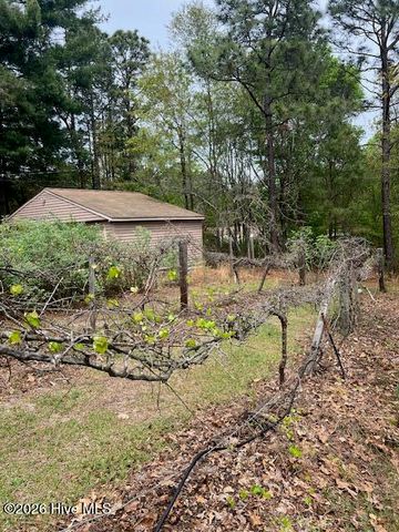 1801 Mcdonald Avenue, Hamlet, NC 28345