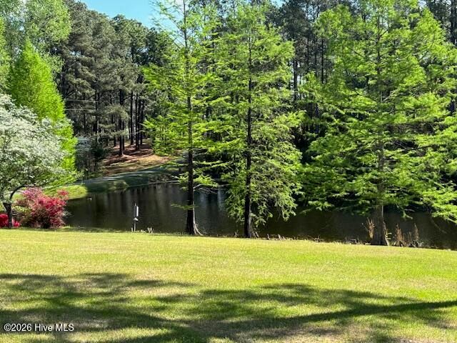 1801 Mcdonald Avenue, Hamlet, NC 28345