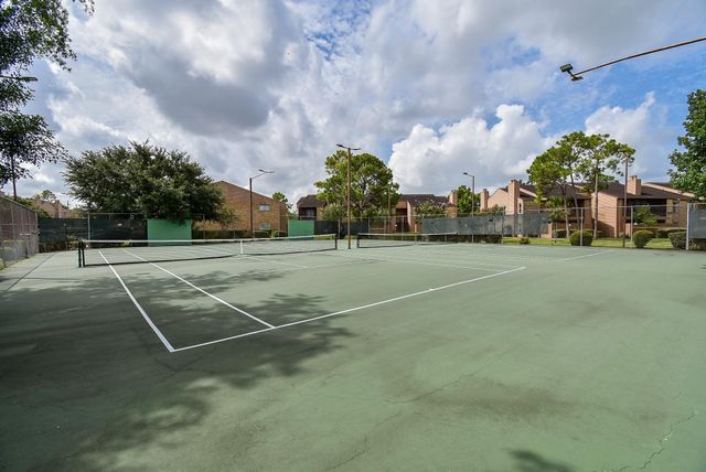 10555 Turtlewood Court 1716, Houston, TX 77072
