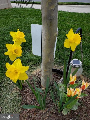 15 S LOCUST ST, Lovettsville, VA 20180