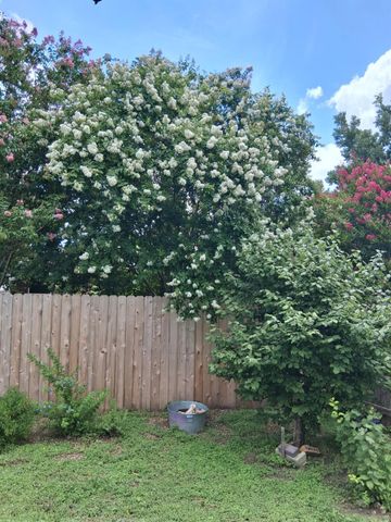 106 Wild Plum, San Marcos, TX 78666