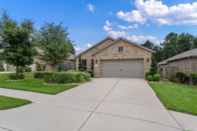 106 E Silky Sephora Court, Montgomery, TX 77316