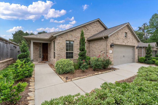 106 E Silky Sephora Court, Montgomery, TX 77316