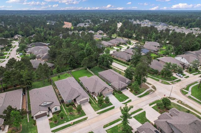 106 E Silky Sephora Court, Montgomery, TX 77316