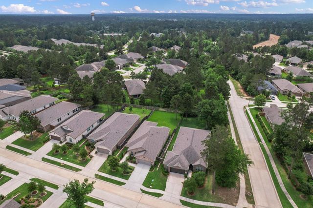 106 E Silky Sephora Court, Montgomery, TX 77316