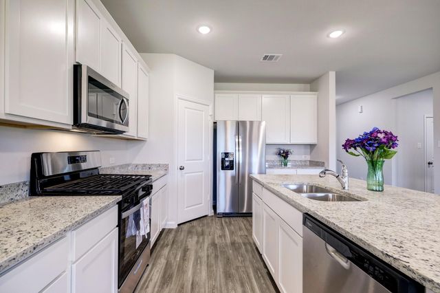 12260 Lady Eli Drive Drive, Willis, TX 77318