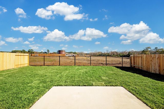 12260 Lady Eli Drive Drive, Willis, TX 77318