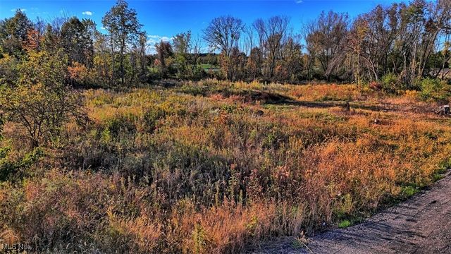 7041 Wolff Road, Medina, OH 44256