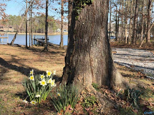 244 County Road 671, Cedar Bluff, AL 35959