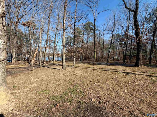 244 County Road 671, Cedar Bluff, AL 35959