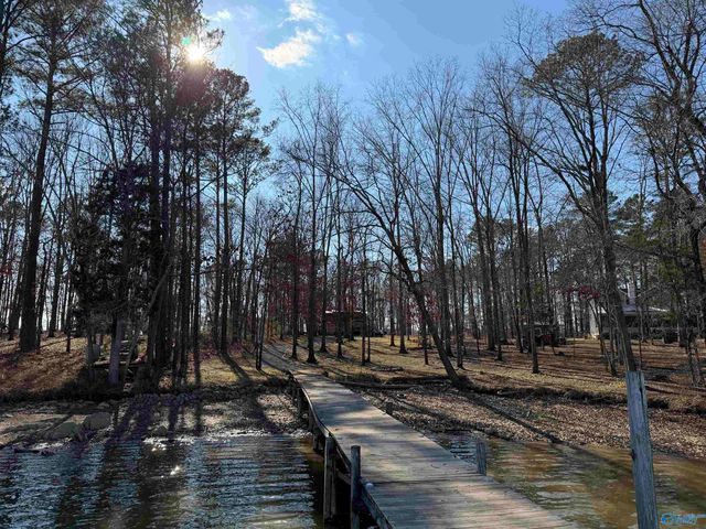 244 County Road 671, Cedar Bluff, AL 35959