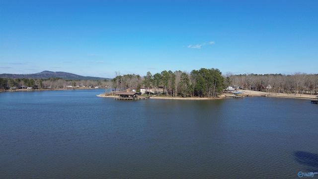 244 County Road 671, Cedar Bluff, AL 35959
