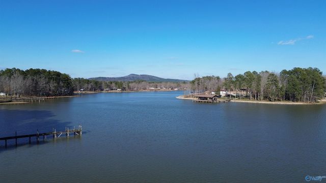 244 County Road 671, Cedar Bluff, AL 35959