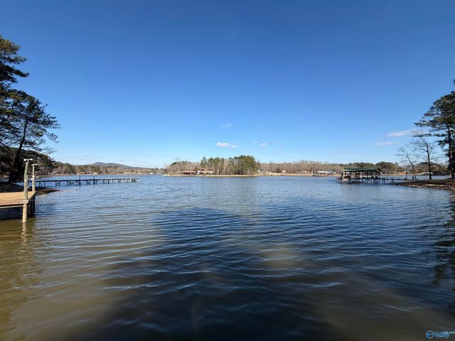 244 County Road 671, Cedar Bluff, AL 35959