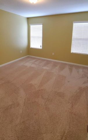 13955 SNAPPER FIN LANE, Tampa, FL 33637