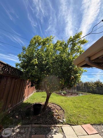 1130 Breezewood Court, Sunnyvale, CA 94089