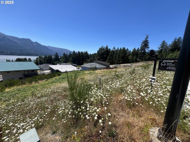 154 Ne Upper Basso Cir, Stevenson, WA 98648