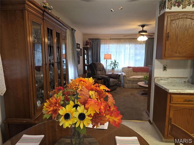 18 Jennine Drive, Belleville, IL 62226