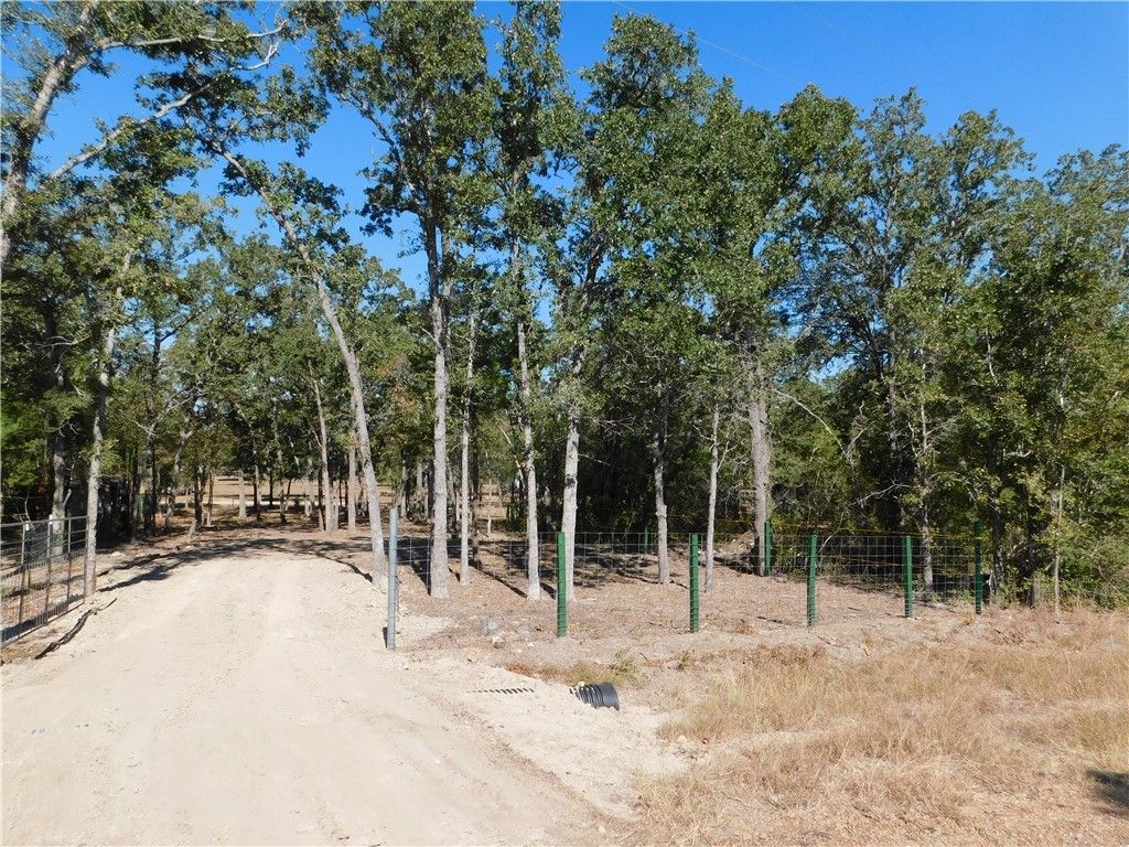 205 Black Oak Drive, Somerville, TX 77879 — photo 3