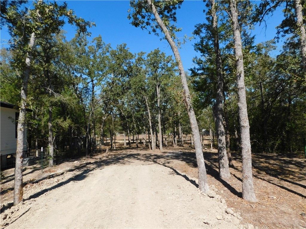 205 Black Oak Drive, Somerville, TX 77879 — photo 4
