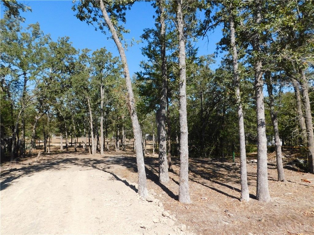 205 Black Oak Drive, Somerville, TX 77879 — photo 5