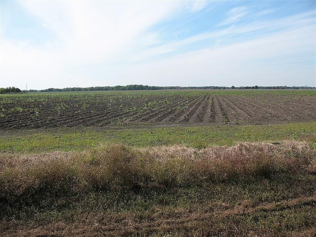28002 Highway 36 At County Road 21 Highway, Damon, TX 77430