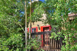 1155 CO Rd 6, Alma, CO 80420