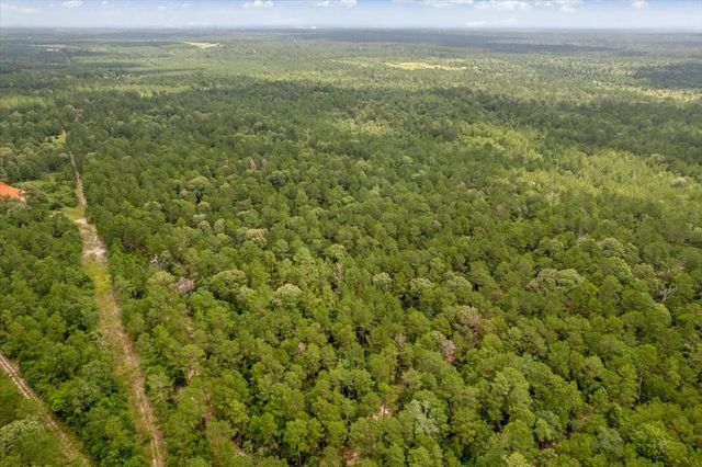 TBD Lot 1 County Road 302, Plantersville, TX 77363