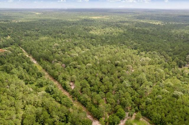 TBD Lot 1 County Road 302, Plantersville, TX 77363